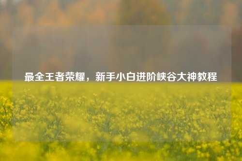 最全王者荣耀，新手小白进阶峡谷大神教程