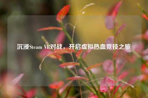沉浸Steam VR对战，开启虚拟热血竞技之旅