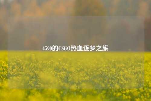 4590的CSGO热血逐梦之旅