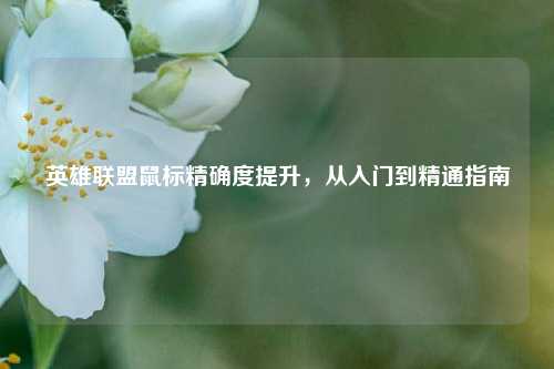 英雄联盟鼠标精确度提升，从入门到精通指南