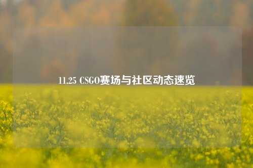 11.25 CSGO赛场与社区动态速览