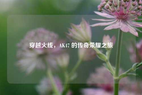 穿越火线，AK47 的传奇荣耀之旅