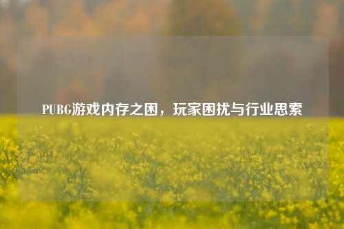 PUBG游戏内存之困，玩家困扰与行业思索