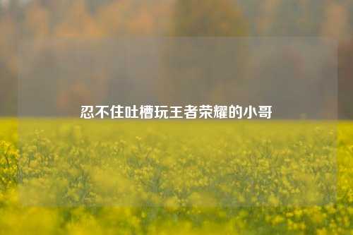 忍不住吐槽玩王者荣耀的小哥