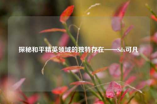 探秘和平精英领域的独特存在——Sdx可凡