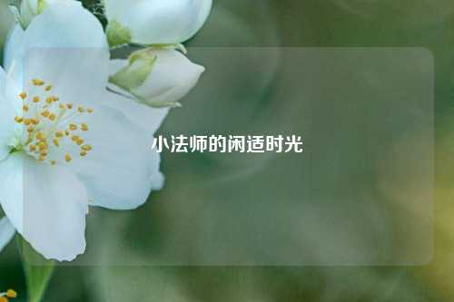 小法师的闲适时光