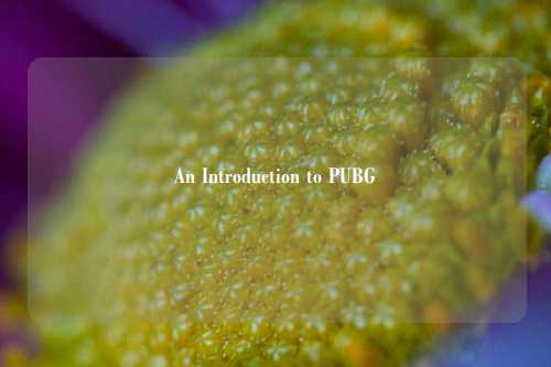 An Introduction to PUBG