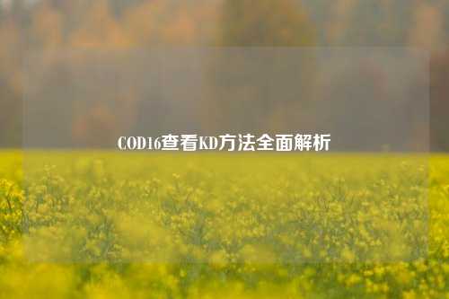 COD16查看KD方法全面解析