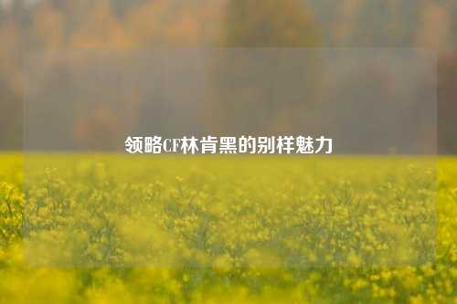 领略CF林肯黑的别样魅力