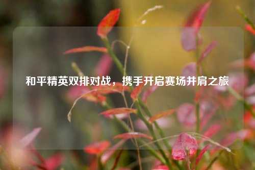 和平精英双排对战，携手开启赛场并肩之旅