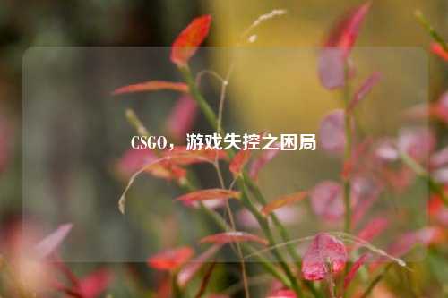 CSGO，游戏失控之困局