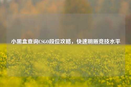 小黑盒查询CSGO段位攻略，快速明晰竞技水平