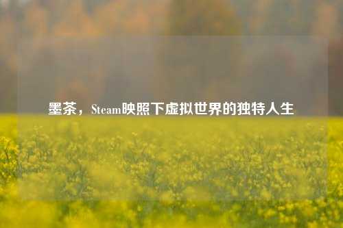 墨茶，Steam映照下虚拟世界的独特人生