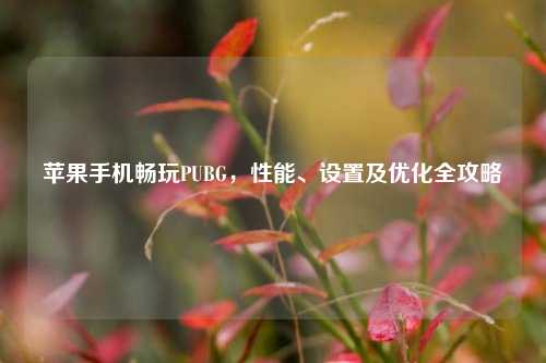 苹果手机畅玩PUBG，性能、设置及优化全攻略