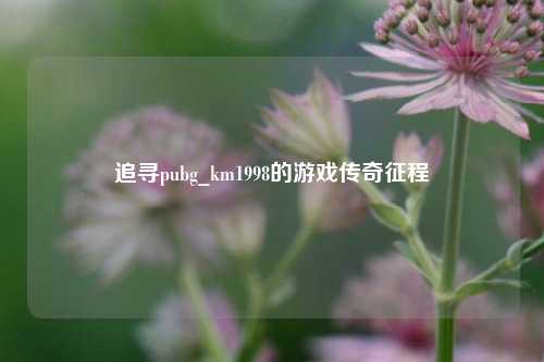 追寻pubg_km1998的游戏传奇征程