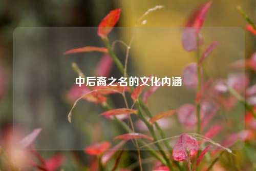 中后裔之名的文化内涵