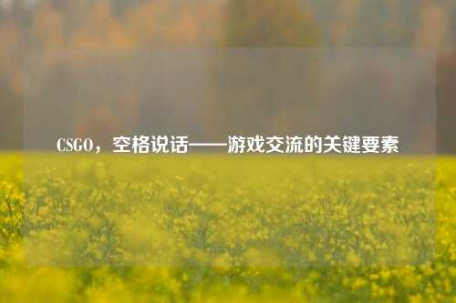 CSGO，空格说话——游戏交流的关键要素