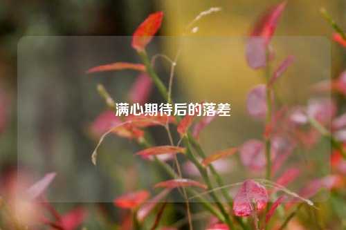 满心期待后的落差