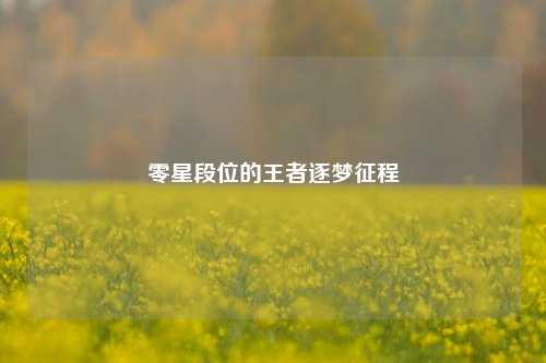 零星段位的王者逐梦征程