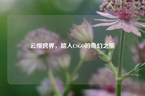 云缨跨界，踏入CSGO的奇幻之旅
