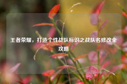 王者荣耀，打造个性战队标识之战队名修改全攻略