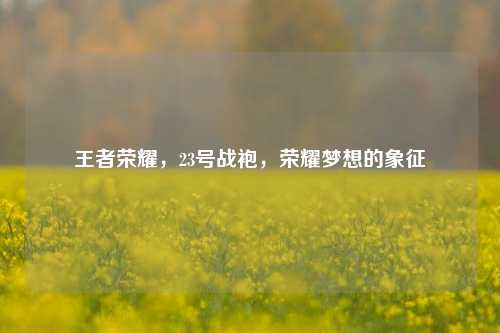 王者荣耀，23号战袍，荣耀梦想的象征