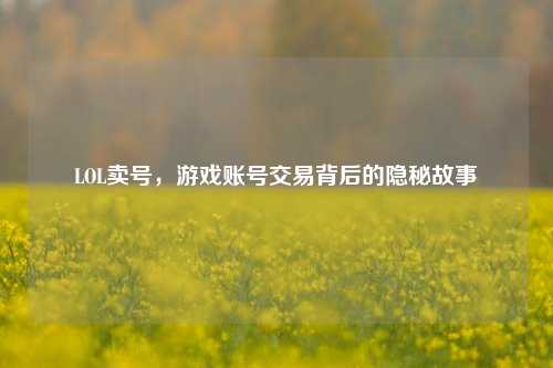LOL卖号，游戏账号交易背后的隐秘故事