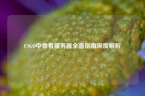 CSGO中查看服务器全面指南深度解析