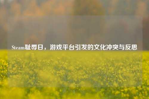 Steam耻辱日，游戏平台引发的文化冲突与反思