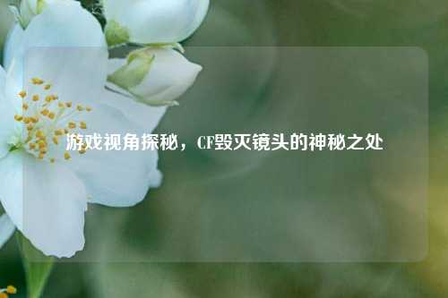 游戏视角探秘，CF毁灭镜头的神秘之处