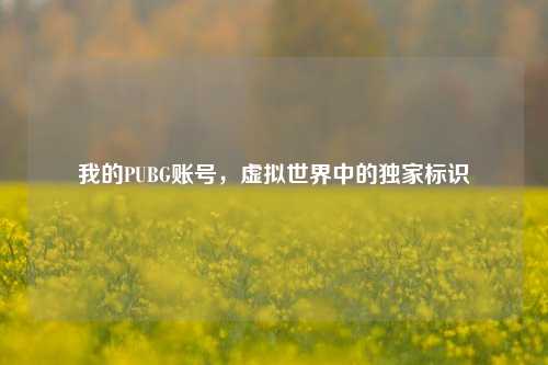 我的PUBG账号，虚拟世界中的独家标识