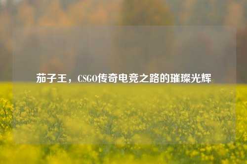 茄子王，CSGO传奇电竞之路的璀璨光辉
