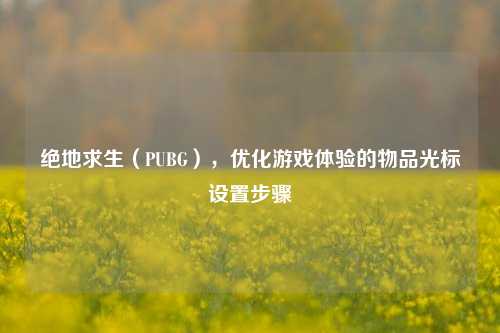 绝地求生（PUBG），优化游戏体验的物品光标设置步骤