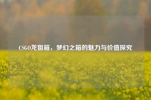 CSGO龙狙箱，梦幻之箱的魅力与价值探究