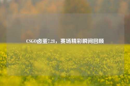 CSGO卤蛋7.28，赛场精彩瞬间回顾