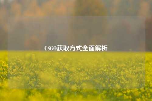 CSGO获取方式全面解析