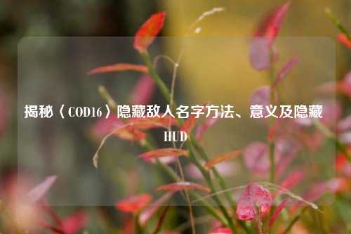 揭秘〈COD16〉隐藏敌人名字方法、意义及隐藏 HUD