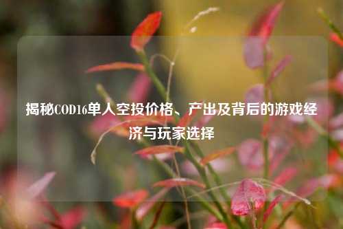揭秘COD16单人空投价格、产出及背后的游戏经济与玩家选择