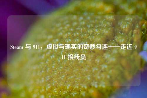 Steam 与 911，虚拟与现实的奇妙勾连——走近 911 接线员