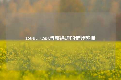 CSGO、CSOL与蔡徐坤的奇妙碰撞