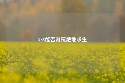 XSX能否游玩绝地求生