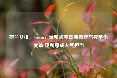 荷兰女排，Steam力量引领赛场新风貌与数字化变革 贝利恩成人气担当