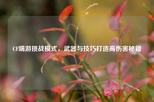 CF端游挑战模式，武器与技巧打造高伤害秘籍