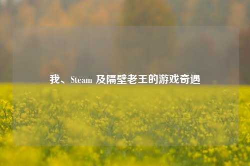 我、Steam 及隔壁老王的游戏奇遇