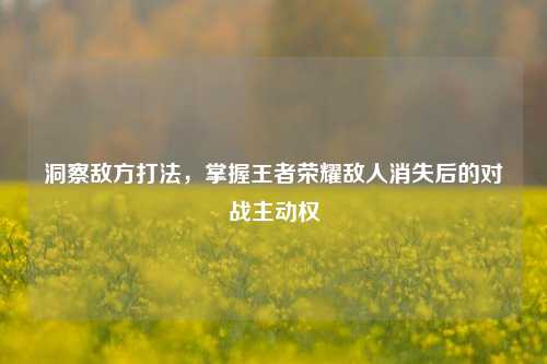 洞察敌方打法，掌握王者荣耀敌人消失后的对战主动权