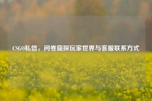 CSGO私信，问卷窥探玩家世界与客服联系方式