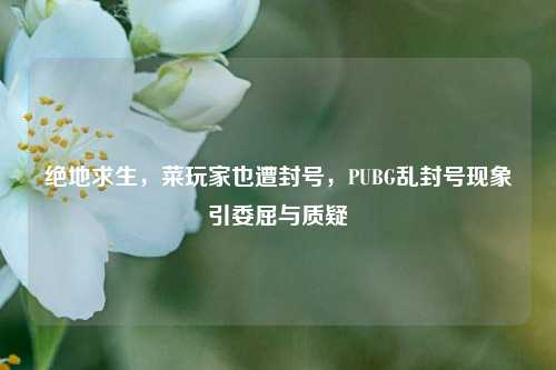 绝地求生，菜玩家也遭封号，PUBG乱封号现象引委屈与质疑