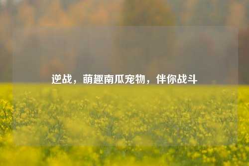逆战，萌趣南瓜宠物，伴你战斗