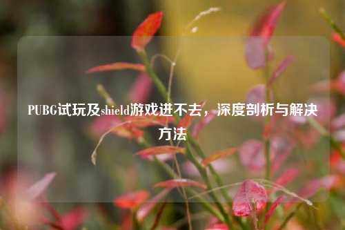 PUBG试玩及shield游戏进不去，深度剖析与解决方法