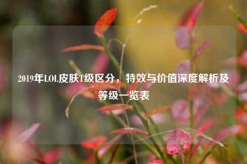 2019年LOL皮肤T级区分，特效与价值深度解析及等级一览表